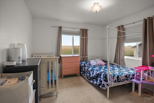 49 N Pkwy, Colorado City, CO 81019 - bedroom with light colored carpet