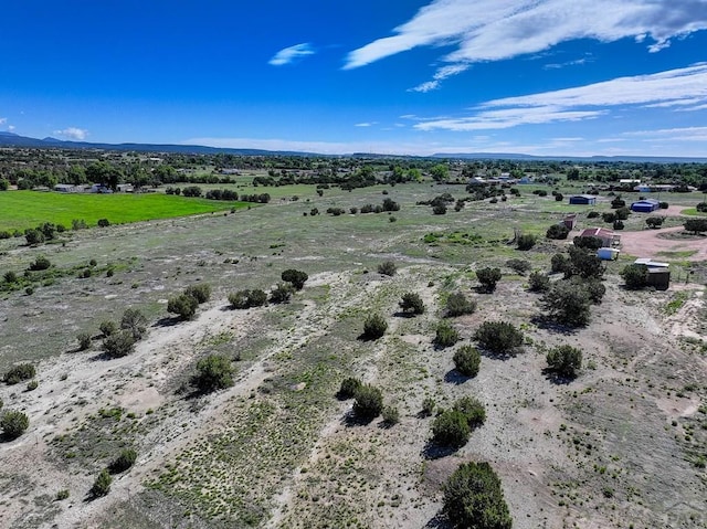295 5th St, Penrose, CO 81240 - photo 2