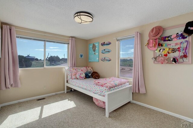 295 5th St, Penrose, CO 81240 - photo 12
