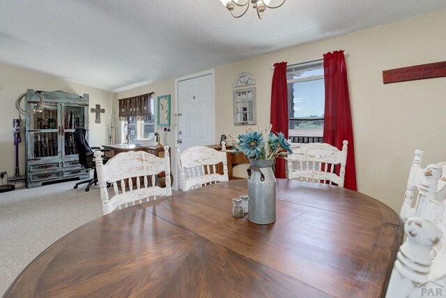 295 5th St, Penrose, CO 81240 - photo 3