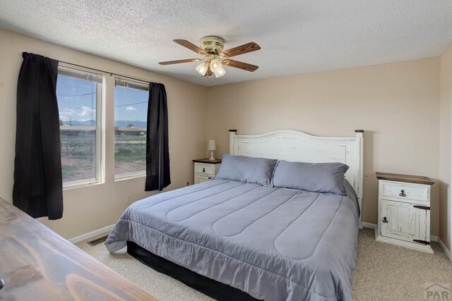 295 5th St, Penrose, CO 81240 - photo 10