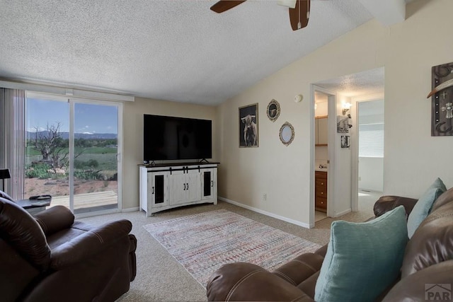295 5th St, Penrose, CO 81240 - photo 6