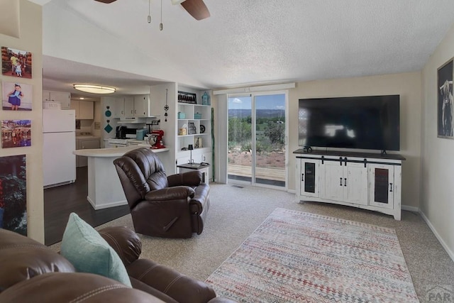 295 5th St, Penrose, CO 81240 - photo 8