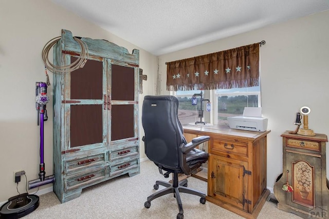 295 5th St, Penrose, CO 81240 - photo 5