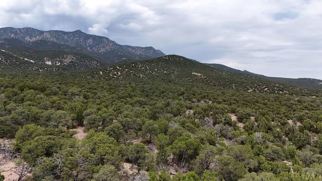 TBD County Road 616, Walsenburg, CO 81089 - photo 19