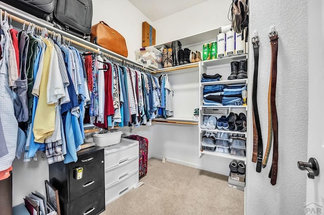 spacious closet with carpet floors