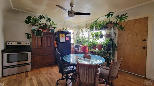 dining space featuring a ceiling fan and light wood-style flooring