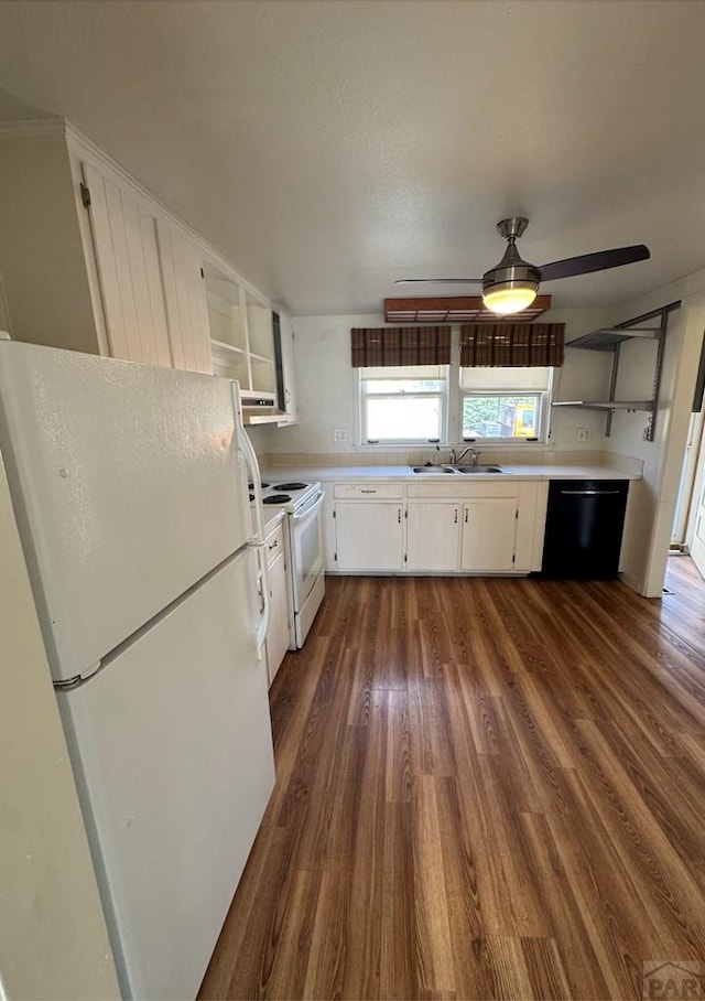 1003-9 Constitution, Pueblo, CO 81001 - photo 4