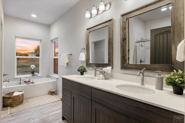 full bathroom featuring a washtub, a stall shower, a sink, and double vanity