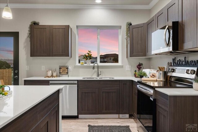 kitchen with stainless steel appliances, light countertops, hanging light fixtures, ornamental molding, and a sink