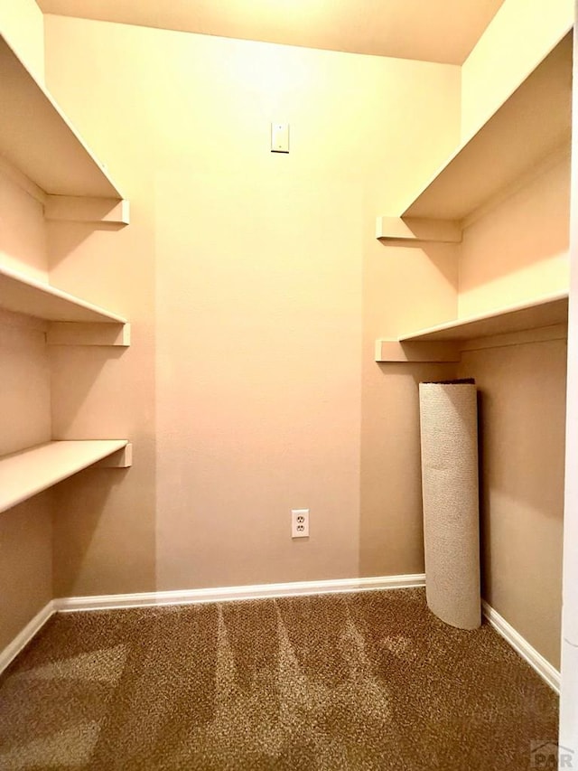 2302 Cartier Dr Unit A, Pueblo, CO 81005 - walk in closet with carpet floors