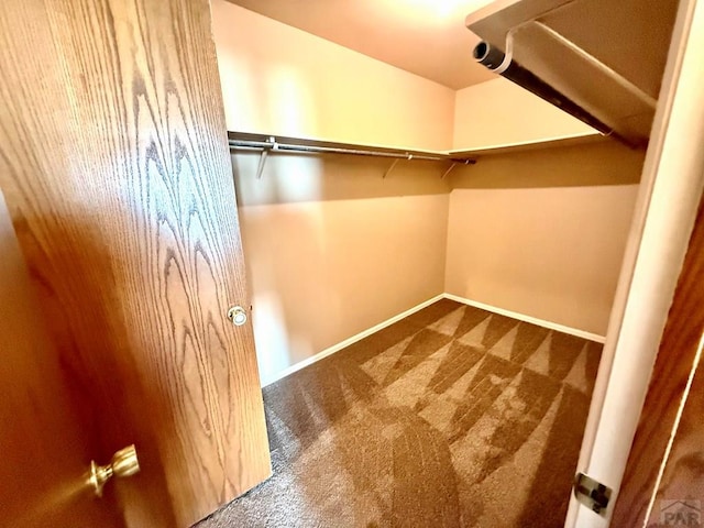 2302 Cartier Dr Unit A, Pueblo, CO 81005 - walk in closet featuring carpet