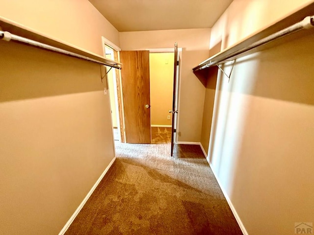2302 Cartier Dr Unit A, Pueblo, CO 81005 - spacious closet with carpet