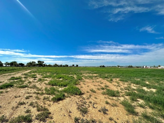 view of local wilderness featuring a rural view