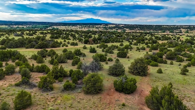 LOT22 River Ridge Ranch, Walsenburg, CO 81089 - photo 4