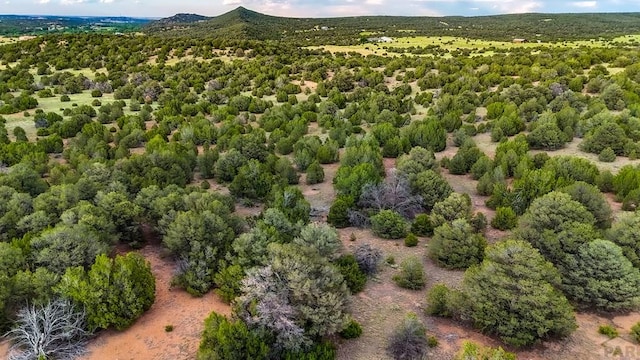 LOT22 River Ridge Ranch, Walsenburg, CO 81089 - photo 10