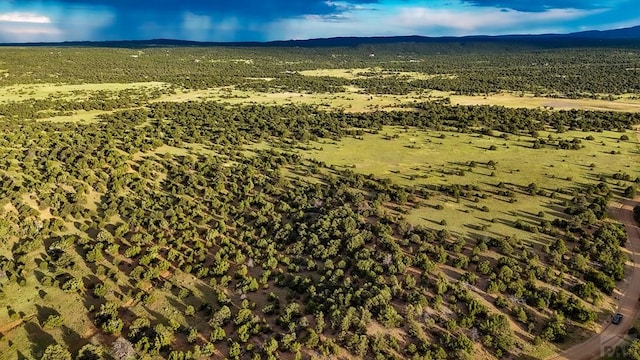 LOT22 River Ridge Ranch, Walsenburg, CO 81089 - photo 6