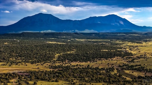 LOT22 River Ridge Ranch, Walsenburg, CO 81089 - photo 1
