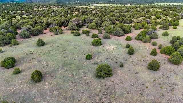 LOT22 River Ridge Ranch, Walsenburg, CO 81089 - photo 9