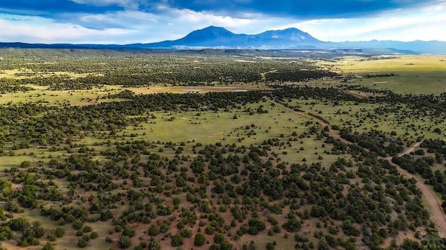 LOT22 River Ridge Ranch, Walsenburg, CO 81089 - photo 3