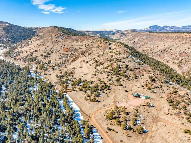 1918 Kelly Creek Trl, Canon City, CO 81212 - overview of rural landscape featuring mountains and a desert landscape