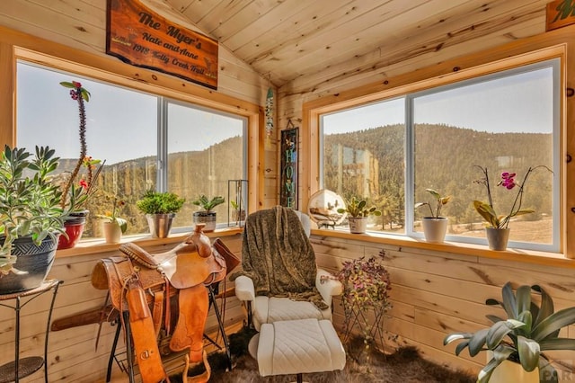1918 Kelly Creek Trl, Canon City, CO 81212 - sunroom / solarium featuring lofted ceiling and a mountain view
