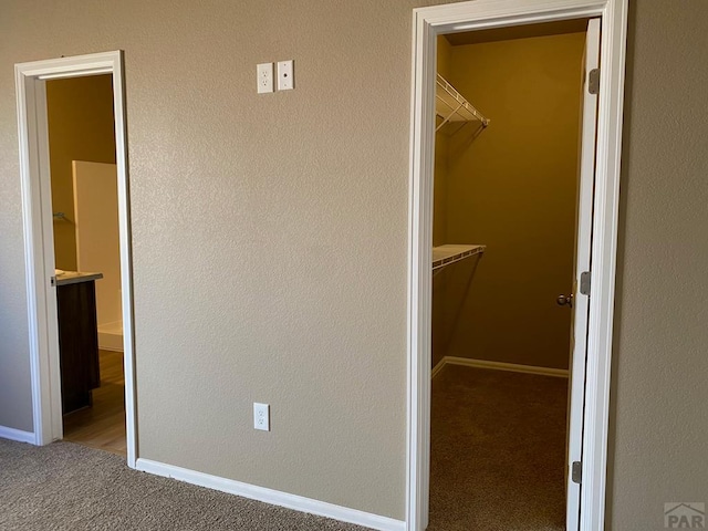 spacious closet with carpet