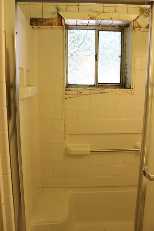 bathroom with a shower and a bathing tub