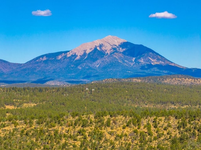 view of mountain feature