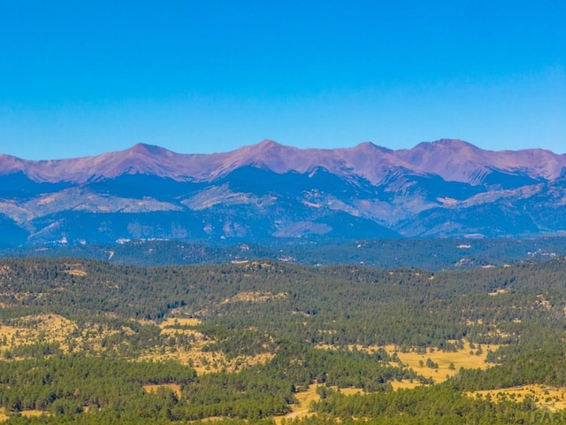 view of mountain feature with a wooded view