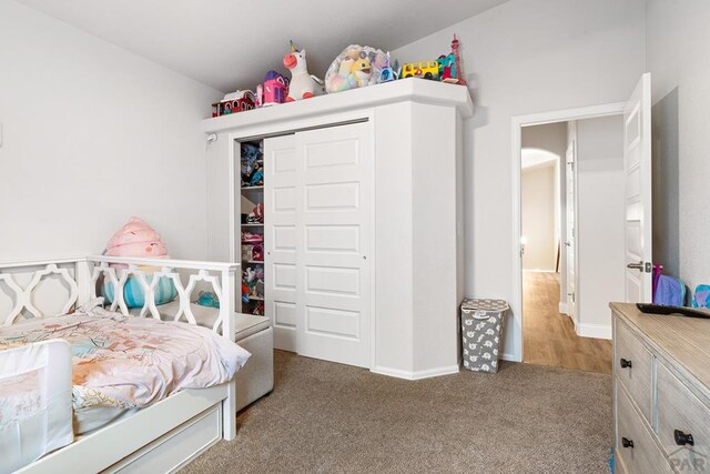 3526 Ptarmigan Ln, Pueblo, CO 81005 - photo 9