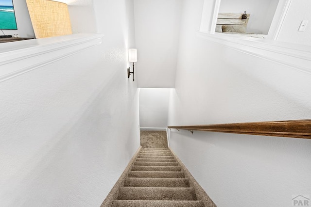 3526 Ptarmigan Ln, Pueblo, CO 81005 - photo 23
