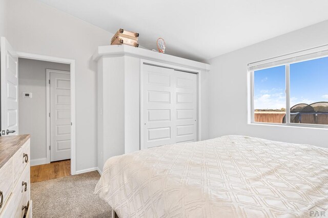 3526 Ptarmigan Ln, Pueblo, CO 81005 - photo 11