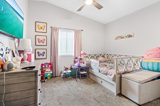 3526 Ptarmigan Ln, Pueblo, CO 81005 - photo 8