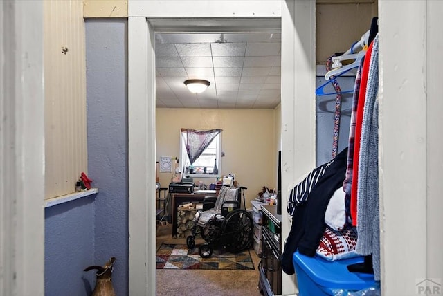 walk in closet featuring a drop ceiling and carpet flooring