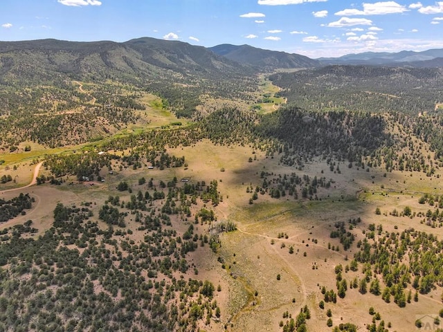 9091 County Rd 271, Westcliffe, CO 81252 - photo 32