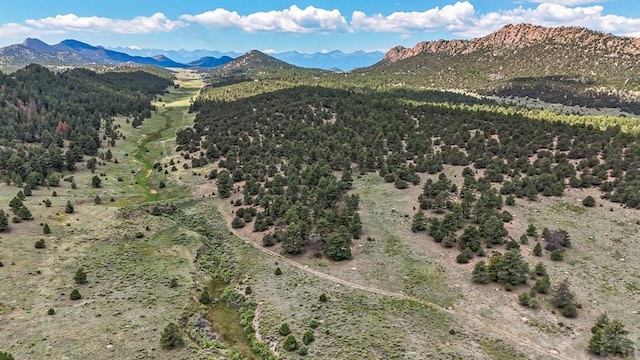 9091 County Rd 271, Westcliffe, CO 81252 - photo 19
