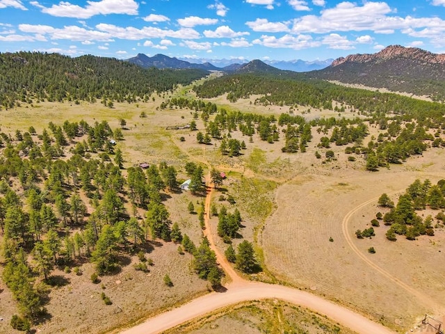 9091 County Rd 271, Westcliffe, CO 81252 - photo 34