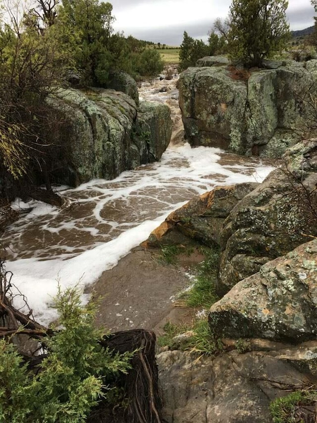 8417 3r Rd, Beulah, CO 80123 - view of nature