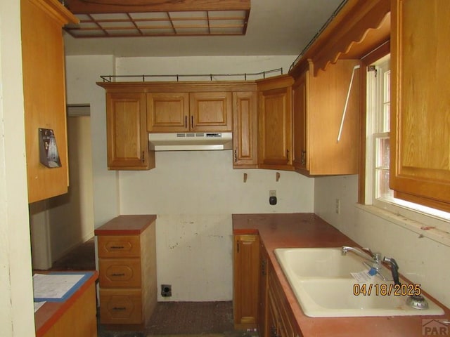 kitchen featuring brown cabinets, under cabinet range hood, and a sink