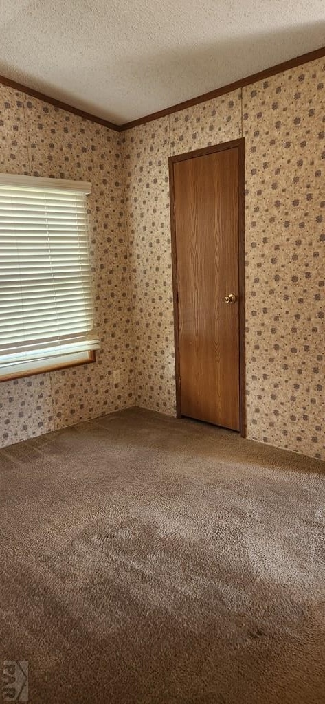 5000 Red Creek Springs Rd Unit 118, Pueblo, CO 81005 - photo 10