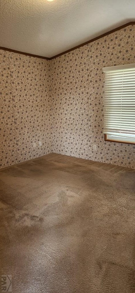 5000 Red Creek Springs Rd Unit 118, Pueblo, CO 81005 - photo 7