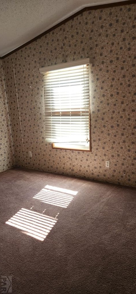 5000 Red Creek Springs Rd Unit 118, Pueblo, CO 81005 - photo 15