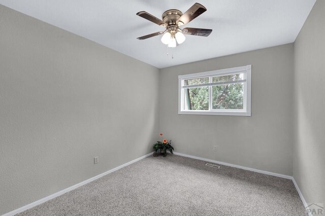 41 S Briarwood Pl, Pueblo, CO 81005 - photo 29