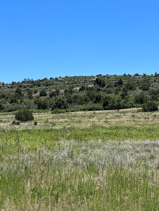 LOT661 Buena Vis, Colorado City CO, 81019 land for sale