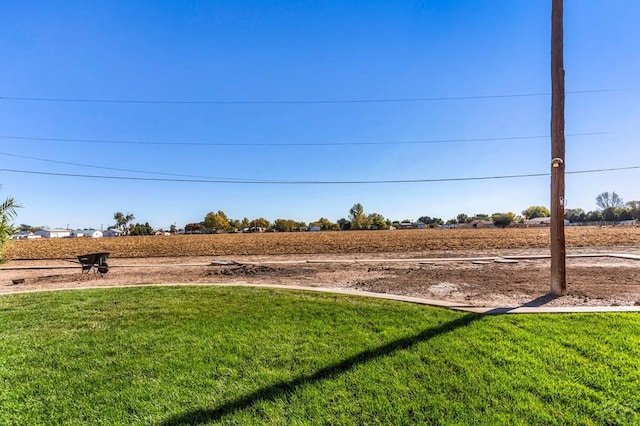 1510 24 1/4 Ln, Pueblo, CO 81006 - view of green lawn
