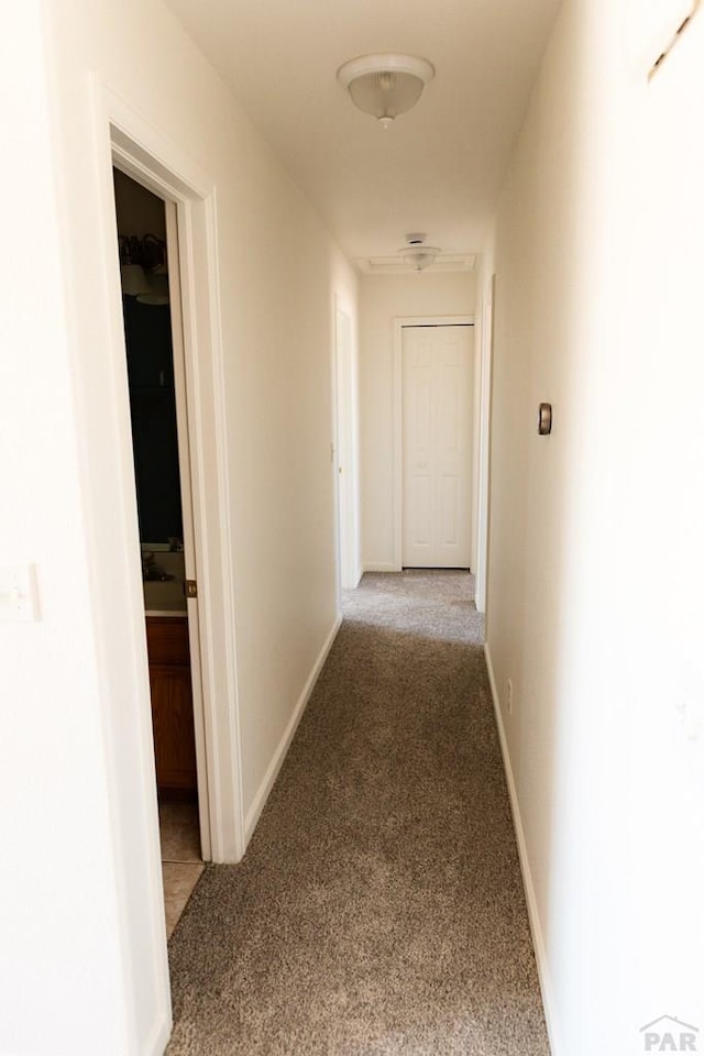 626 S Tejon Ave, Pueblo West, CO 81007 - photo 13