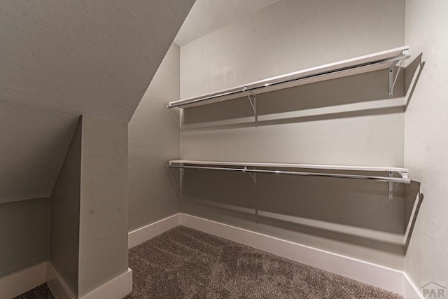 walk in closet with dark colored carpet