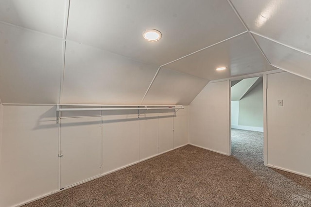 spacious closet with vaulted ceiling and carpet