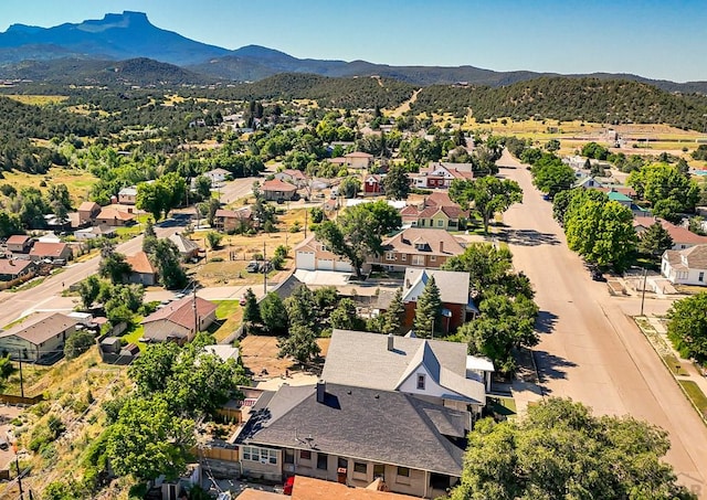 1008 Grant St, Trinidad, CO 81082 - photo 55